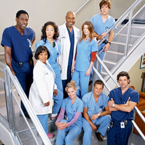 The original lead characters of Grey's Anatomy