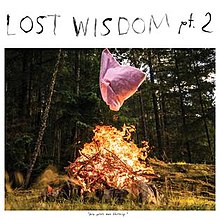 Lost Wisdom pt.2 albüm kapağı mount eerie.jpg