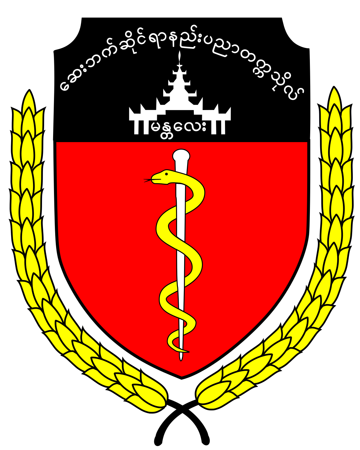 University Of Medical Technology Mandalay Wikipedia