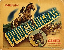 Pride of the Blue Grass (1939 film).jpg