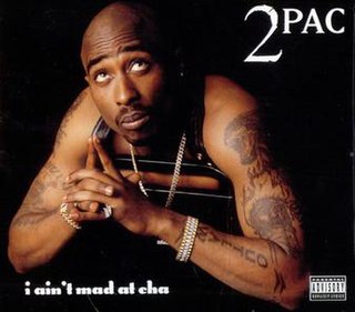 <span class="mw-page-title-main">I Ain't Mad at Cha</span> 1996 single by 2Pac featuring Danny Boy