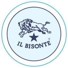 Il Bisonte Volley Firenze.png