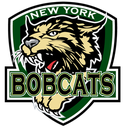 NYBobcats logo.png 