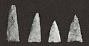 Oak Forest projectile points.jpeg