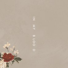 Image result for shawn mendes in my blood