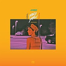 Сондықтан көптеген мәліметтер - Toro y Moi.jpg