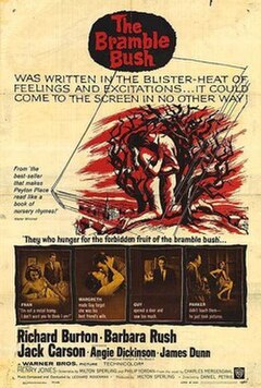 Original theatrical poster