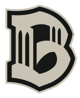 <span class="mw-page-title-main">Brooklyn FC (USL)</span> Professional soccer club in New York City