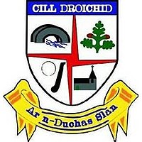 Celbridge Crest GAA.jpg