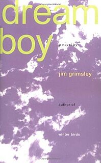 <i>Dream Boy</i> 1995 novel