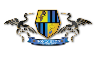 Hongcheon Idu FC association football club