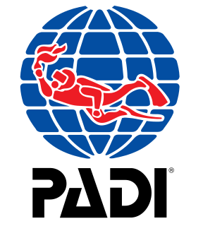 <span class="mw-page-title-main">Professional Association of Diving Instructors</span> Recreational diver training and certification agency