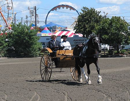 NJFair buggy