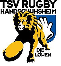 Tsv handshuhsheim.jpg