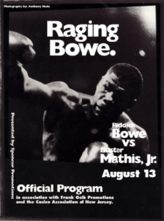 Bowe vs Mathis.png