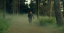 Lambert, wearing a black coat, black boots and gloves while walking in the forest by daylight in the music video for "If I Had You". Ifihadyoumusicvideo.jpg