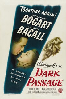 <i>Dark Passage</i> (film) 1947 US mystery thriller film by Delmer Daves