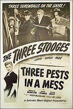 Thumbnail for File:Stooges 3pestsinmess.jpg