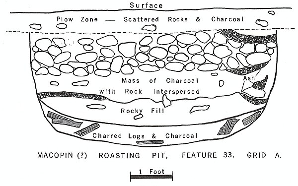 Profile of Feature 33, "macopin" roasting pit