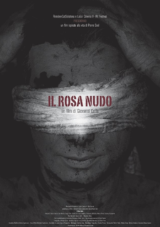 <i>Il Rosa Nudo</i> 2013 Italian film