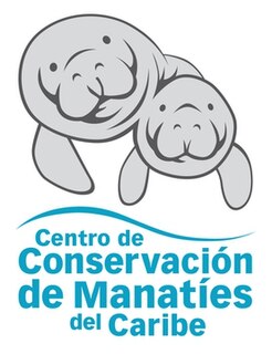 Caribbean Manatee Conservation Center Organization to help endangered manatees