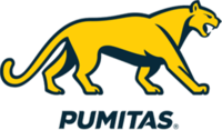 Pumitas argentina logo23.png