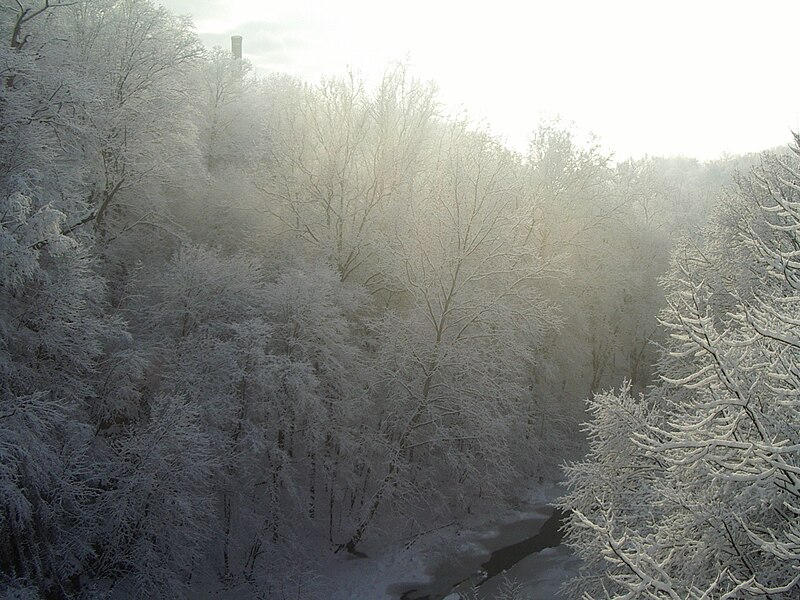 File:Six mile creek in winter.jpg