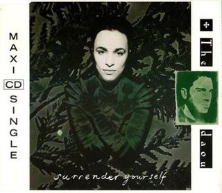 <span class="mw-page-title-main">Surrender Yourself</span> 1992 single by The Daou