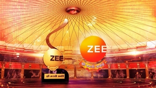 <span class="mw-page-title-main">Zee Marathi Awards 2017</span>