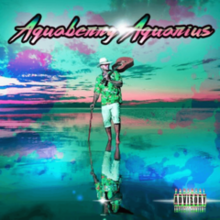 Aquaberry Aquarius cover album.png