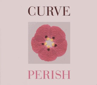 Perish (song) 2002 single by Curve