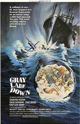 Promotional poster for Gray Lady Down