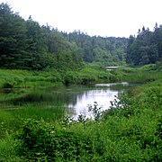 A quiet pool on the Kennetcook River