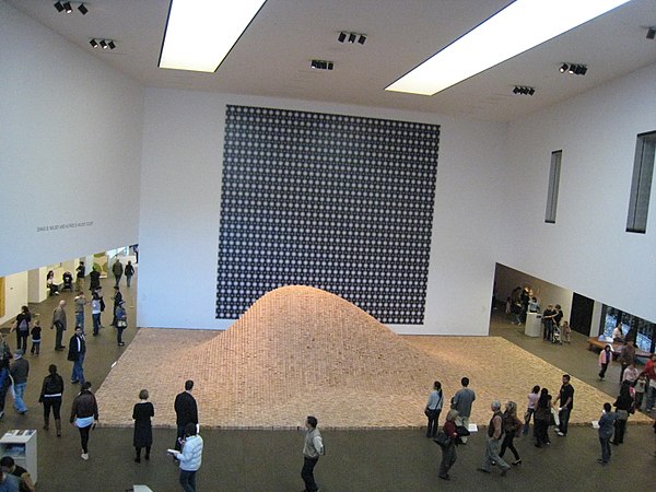 2 × 4 Landscape (2006) at the De Young Museum in San Francisco in January 2009