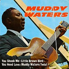 Muddy Waters Pye EP cover.jpg