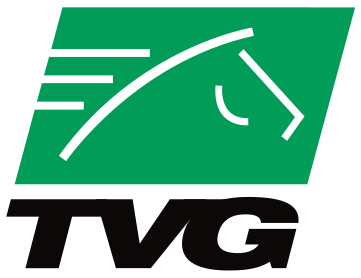 File:TVG logo.svg