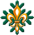 Cercetaşii României. National Organization of Romanian Scouts