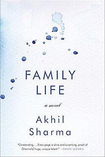 <i>Family Life</i> (novel)