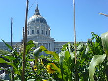 Victory Garden at San Francisco Civic Center Plaza SlowFoodVictoryGarden.jpg