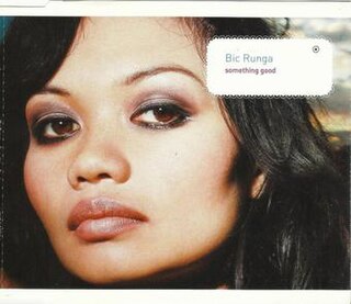 <span class="mw-page-title-main">Something Good (Bic Runga song)</span> 2002 single by Bic Runga