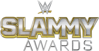 <span class="mw-page-title-main">Slammy Award</span> Professional wrestling award