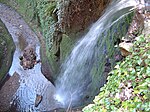 Shanklin Chine