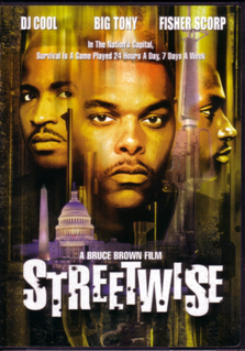 <i>Streetwise</i> (1998 film) 1998 film directed by Bruce Brown