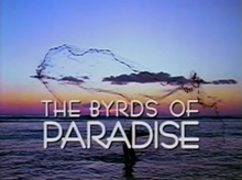 The Byrds of Paradise.png