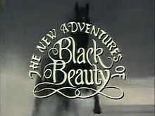 The New Adventures of Black Beauty titlecard.jpg