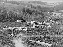 Fourteen Czech intellectuals shot by the SS in Mauthausen. Fourteen Czech intellectuals shot by the SS in Mauthausen.jpg