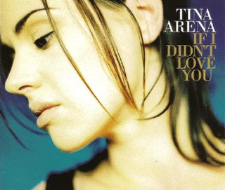 If I Didnt Love You (Tina Arena song)