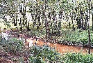 <span class="mw-page-title-main">Huff Run</span> River in Ohio, United States