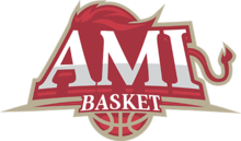 AMI Basket logo