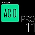 Acid Pro 11.jpg